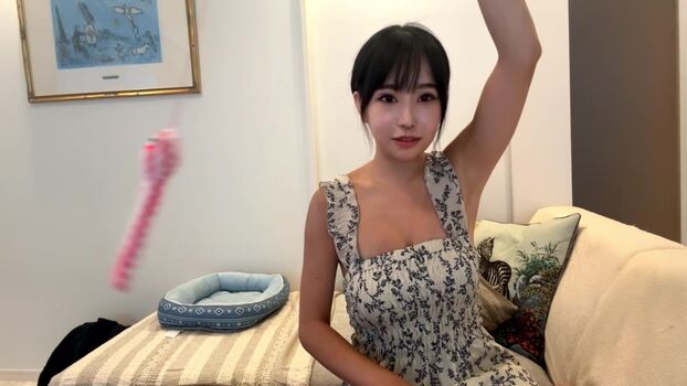 MaiMai まいまい
