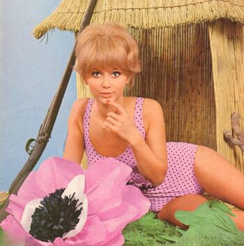 Vintage Starlets